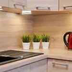 Feniks קולובז'ג