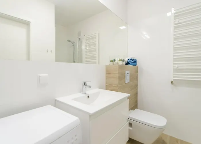 Feniks كولوبرزيغ